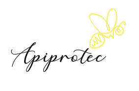 apiprotec.com